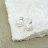 Vireo Perlenohrstecker