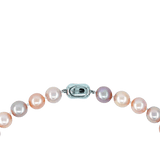 Vireo Perlenset Farbmischung